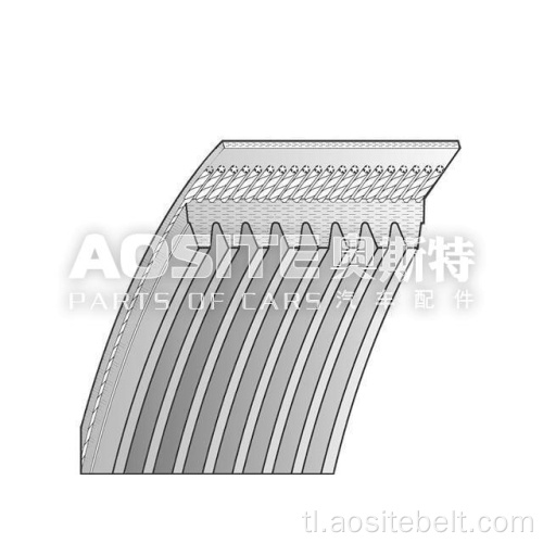 V-Rbbed Belt MAN LION S CITY